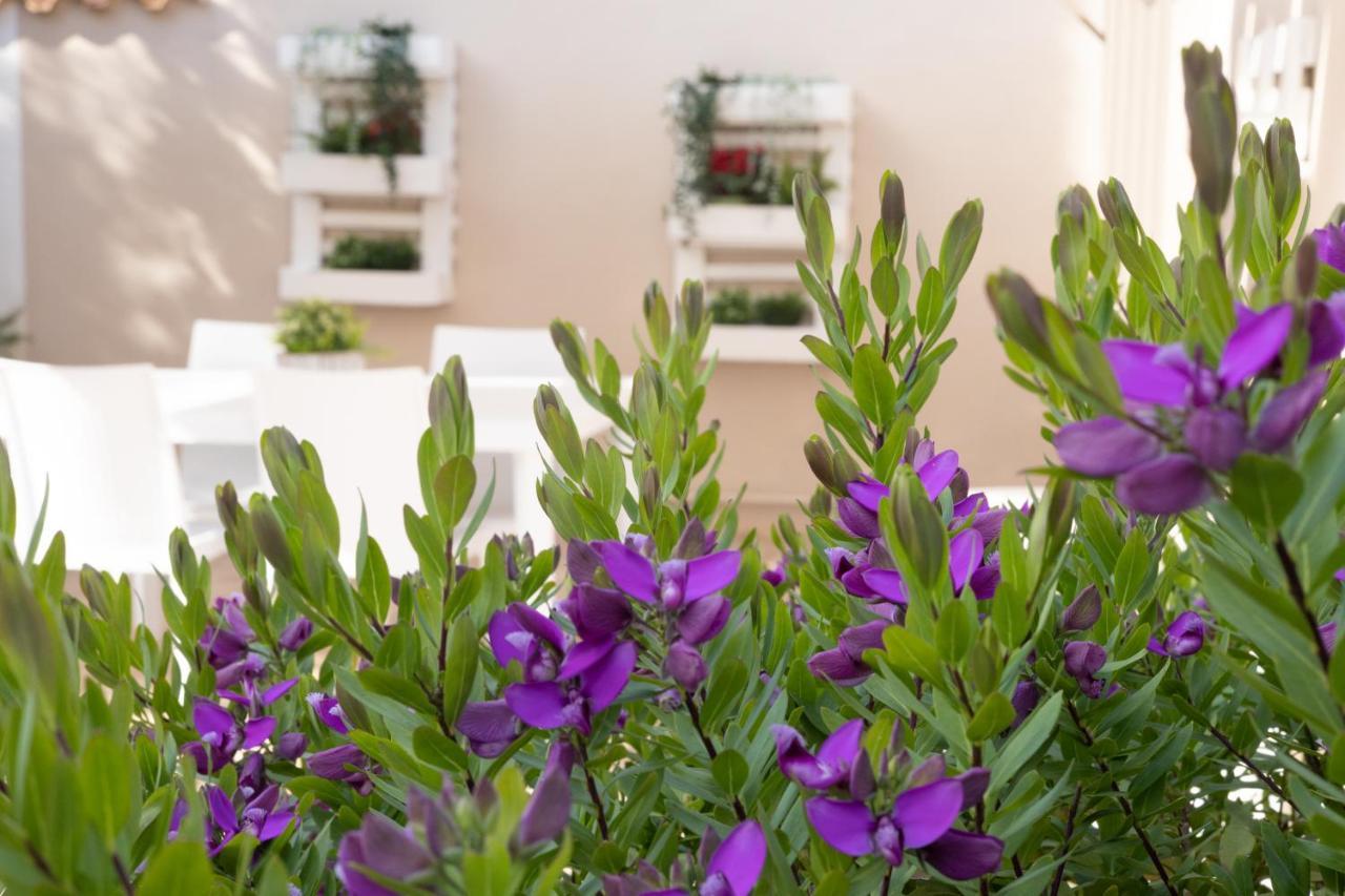 Emotions Bed & Breakfast Fiumicino Luaran gambar