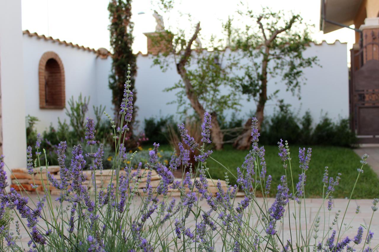 Emotions Bed & Breakfast Fiumicino Luaran gambar
